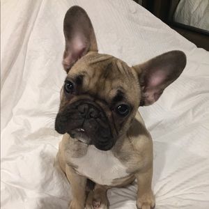 Meet your Posher, Mandy